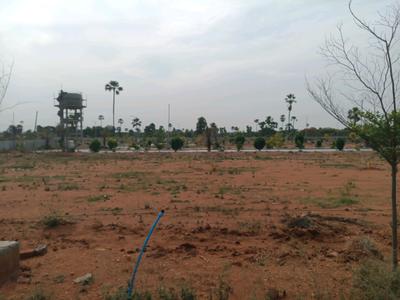 SGD Developers Plot View 2
