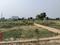 Noida Extension Plot View 2