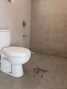 Common Bathroom Image of 1080 Sq.ft 2 BHK Apartment / Flat for sale in Gagan Adira, Wagholi Pune for Rs. 7851000