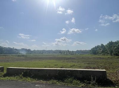 Image of 3700 Sq.ft Residential Plot / Land for sale in Aldona, Goa for Rs. 166500000