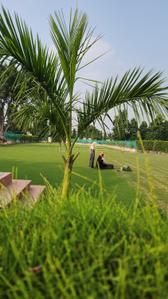 Image of 9072 Sq.ft Residential Plot / Land for sale in Dkrrish Alaska Farms, Nagla Nagli, Noida for Rs. 8500000