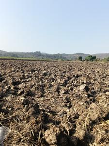Image of 1089 Sq.ft Residential Plot / Land for sale in Mahamumbai Plots In Pirkon, Pirkone, Navi Mumbai for Rs. 542000