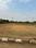 Bibinagar Plot View 2
