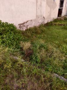 Image of 100 Sq.ft Residential Plot / Land for sale in Ganga Nagar, Meerut for Rs. 4000000