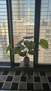 Balcony Image of Mithchowki malad in Malad West, Mumbai
