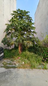 Image of 600 Sq.ft Residential Plot / Land for sale in RR Saffron Leaf, Bada Bangarda, Indore for Rs. 2340000