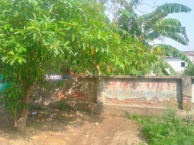 Block C Plot View 2