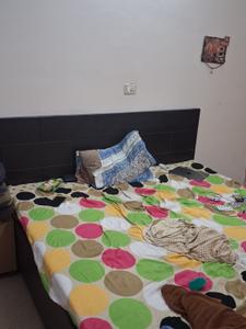 Bedroom Image of 250 Sq.ft 1 RK Villa for rent in Sector 50 Noida for Rs. 15000