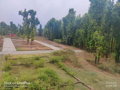 Raipur Greens Plot View 3