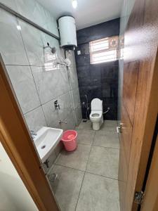 Image of 600 Sq.ft 1 BHK Apartment / Flat for rent in Hoodi, Bengaluru for Rs. 28000