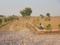 Shahpura Plot View 2
