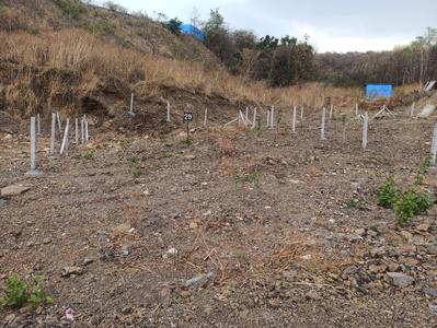 Image of 2300 Sq.ft Residential Plot / Land for sale in Paranjape Misty Greens Phase I, Bhugaon, Pune for Rs. 14500000