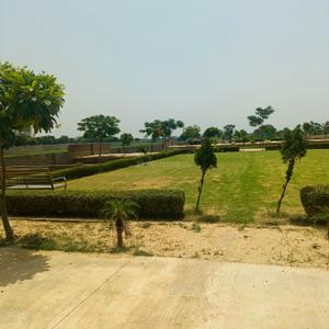 Bamrauli Katara Plot View 3