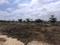 Devanahalli Main Image 1