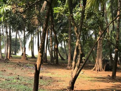Image of 40000 Sq.ft Residential Plot / Land for sale in Bagmala, Alibag for Rs. 40000000