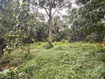 Image of 9365 Sq.ft Residential Plot / Land for sale in Peyad, Thiruvananthapuram for Rs. 17200000
