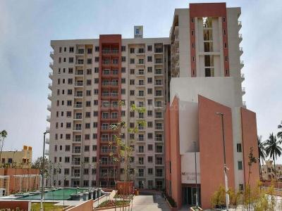 Image of 1290 Sq.ft 2 BHK Apartment / Flat for sale in Brigade Northridge, Agrahara Layout, Bengaluru for Rs. 15000000
