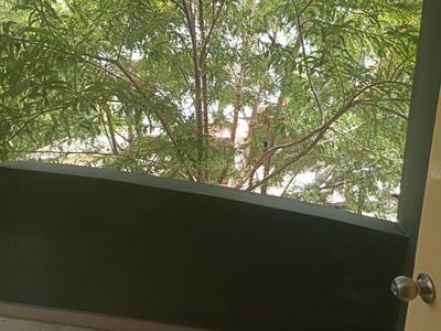 Balcony Image of 2000 Sq.ft 4 BHK Independent House for sale in West Tambaram Chennai for Rs. 11500000