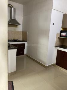 Kitchen Image of 1250 Sq.ft 2 BHK Apartment / Flat for rent in Hilite Metromax, Nellikkode Kozhikode for Rs. 36000