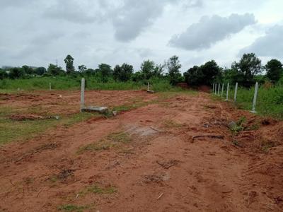 Mallapur Village Plot View 2