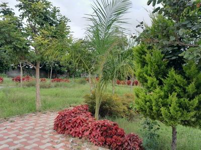 Residential Plot
