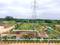 Bhanur Plot View 2