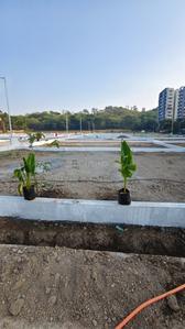 Collector NA Plots wagholi Plot View 2