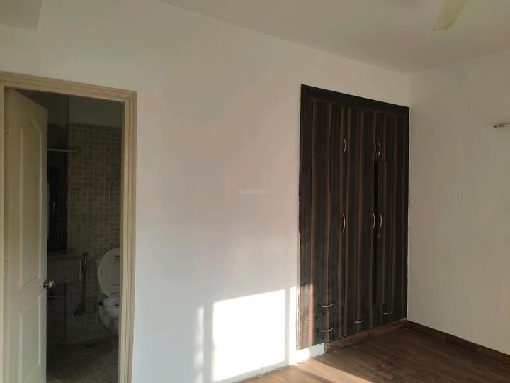 Paras Tierea Main Image 1