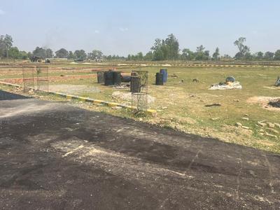 Barel Plot View 3