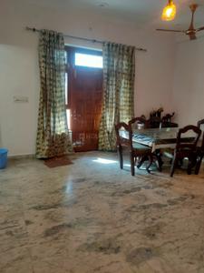 Hall Image of 1500 Sq.ft 2 BHK Builder Floor for rent in Gomti Nagar Lucknow for Rs. 34000