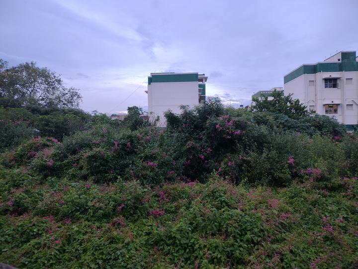 Heritage City Main Image 1