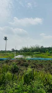 Image of 5000 Sq.ft Residential Plot / Land for sale in Kapasda, Durg for Rs. 2875000