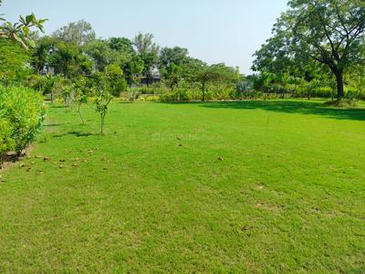 Image of 3735 Sq.ft 3 BHK Farm House for sale in Lekhamba, Ahmedabad for Rs. 75000000