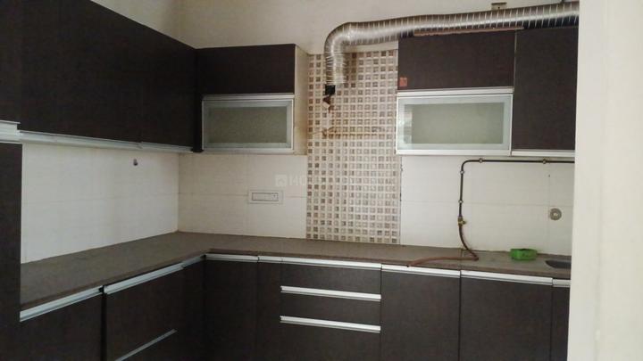 Exotica Elegance Main Image 1