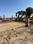 Royal Jat Colony Main Image 1