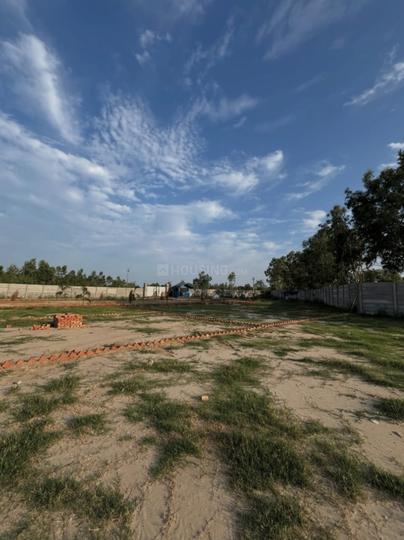 Nandoli Main Image 1