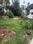 Cheroor Plot View 2