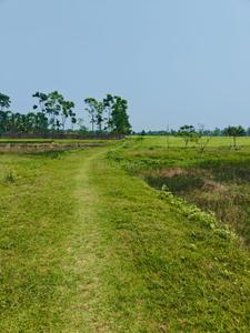 Image of 2160 Sq.ft Residential Plot / Land for sale in Sonarpur, Kolkata for Rs. 750000