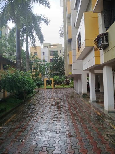 Mayfair Eternity Complex Main Image 1