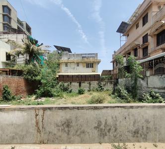 Green Field Plot View 3