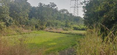 Image of 1089 Sq.ft Residential Plot / Land for sale in Warasgaon, Raigad for Rs. 210000