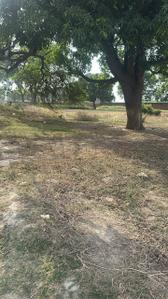 Babatpur Plot View 3