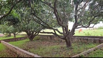 Image of 1000 Sq.ft Residential Plot / Land for sale in Sarosa Bharosa, Lucknow for Rs. 1200000