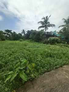 Sonarpur Plot View 3