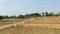 Lankelapalem Plot View 2
