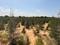 Foresta Farms and Resorts Plot View 2