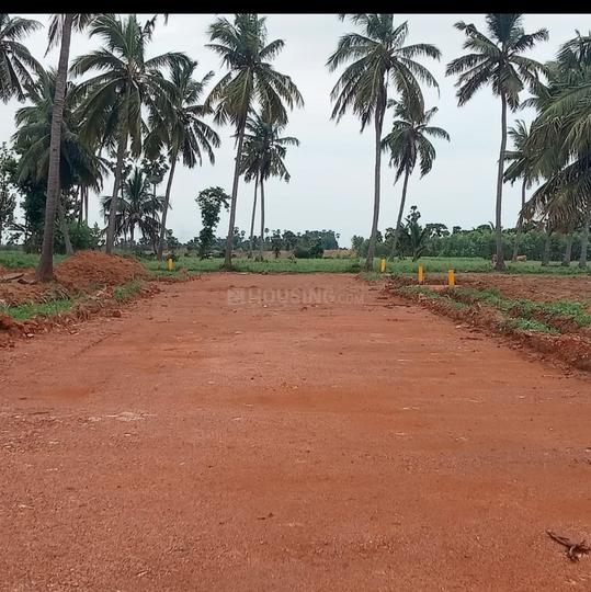 Charan  coastal caridor Main Image 1