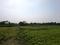 Sonargaon 2 Plot View 2