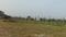 SONARPUR FREE LAND SALE Plot View 2