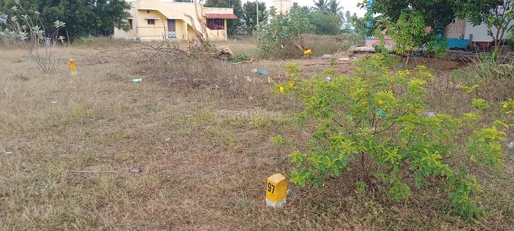 Panjappur Main Image 1